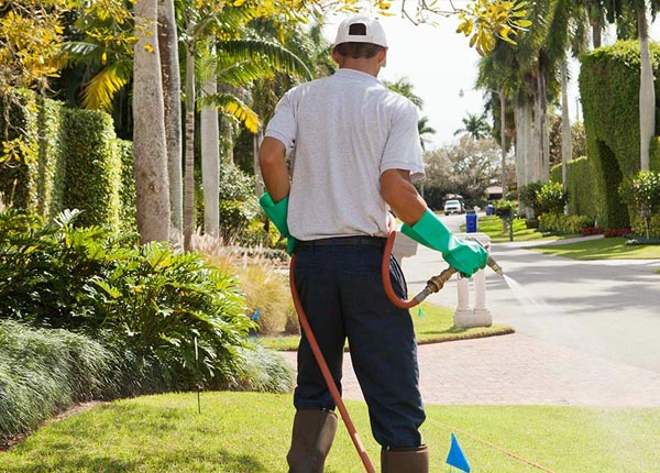 About Tatum TX Pest Control Pros